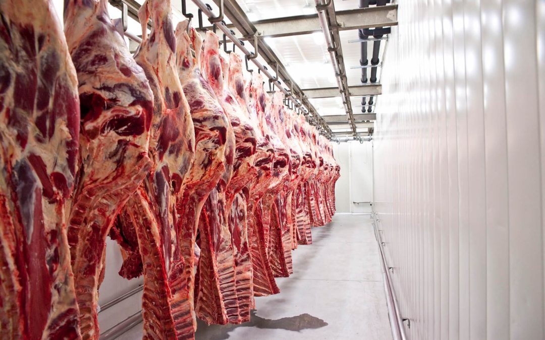 Rubin Foof Group_gigant na rynku mięsnym